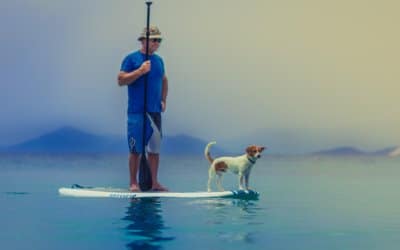 How to Hike Kayak and Paddle Board With Your Dog