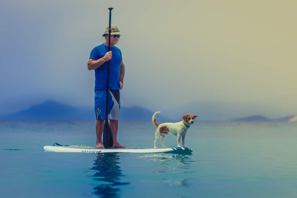 How to Hike Kayak and Paddle Board With Your Dog